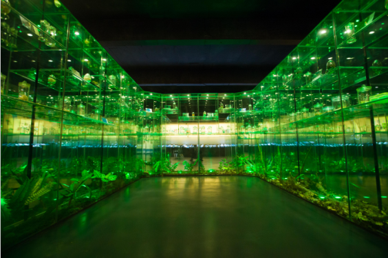 中國(guó)蟲(chóng)草博物館